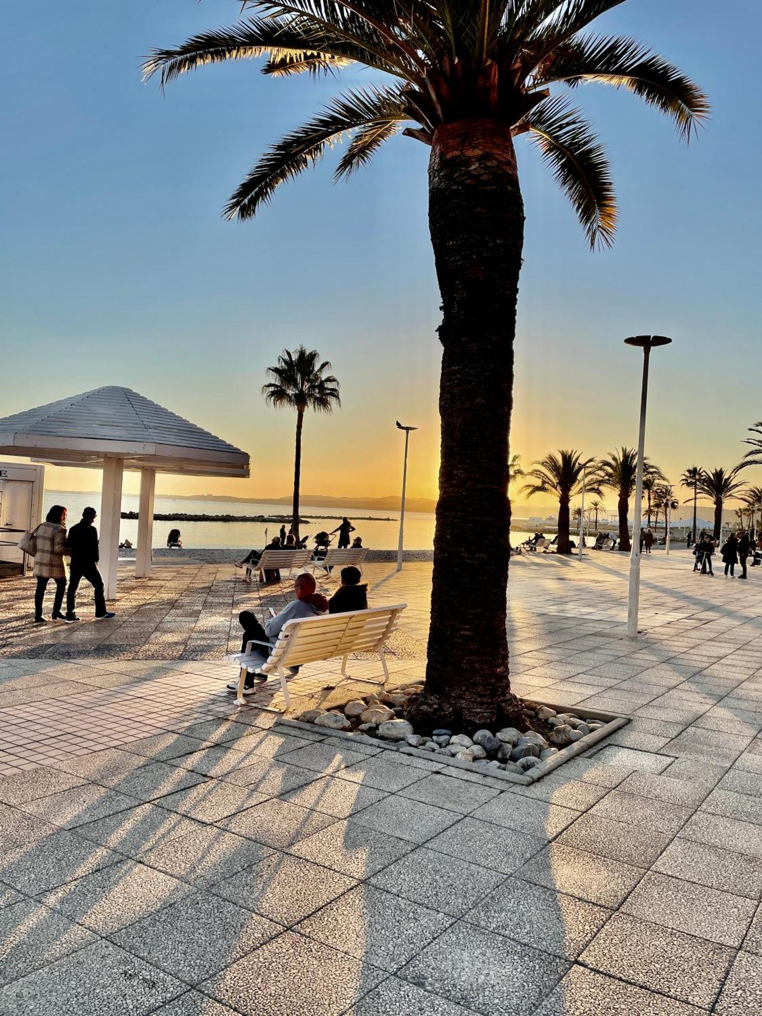 Regent Cote D'Azur Air-Conditioned, Pool, Garden & Parking Villeneuve-Loubet Eksteriør billede